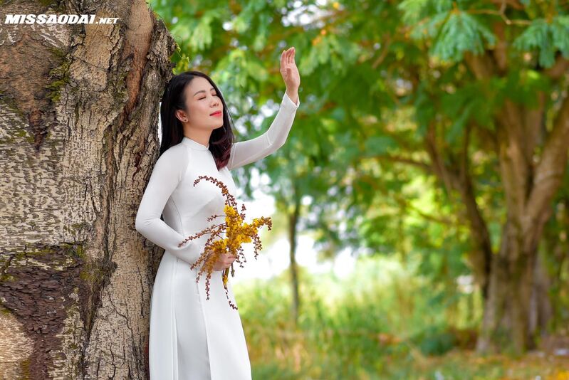 335318443 1587938571684274 829458707558758537 n 335318443 1587938571684274 829458707558758537 n