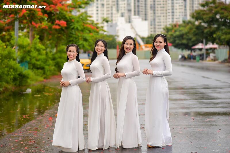 335060571 3085513161742042 7469515839516177892 n 335060571 3085513161742042 7469515839516177892 n