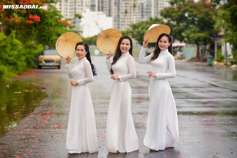 335054745 256593676694113 4205319656128675766 n 335054745 256593676694113 4205319656128675766 n