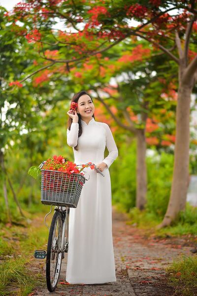 335063206 223056903630057 8864969548104027465 n 335063206 223056903630057 8864969548104027465 n