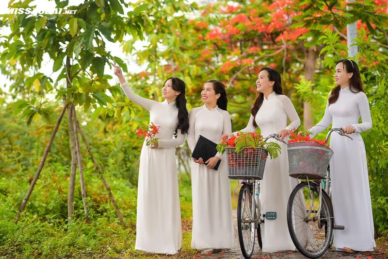 335025615 223391166853674 5648154550127554124 n 335025615 223391166853674 5648154550127554124 n