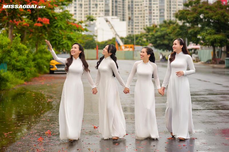 335039817 217424734181176 8349548229034728272 n 335039817 217424734181176 8349548229034728272 n