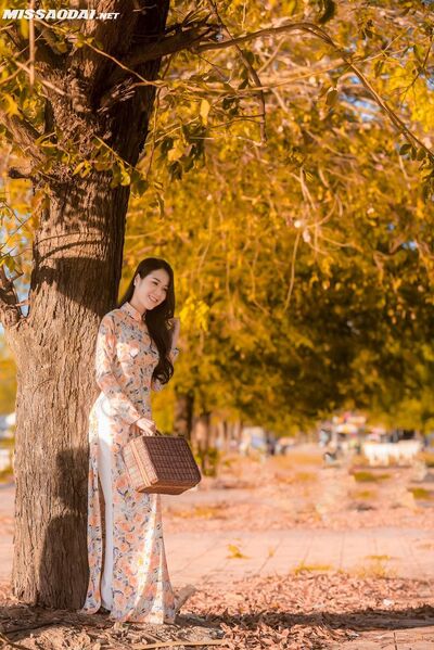 328236277 1351325469016282 423866881641991459 n 328236277 1351325469016282 423866881641991459 n