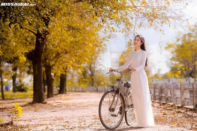 328527160 1149825465687581 2132128771798861360 n 328527160 1149825465687581 2132128771798861360 n