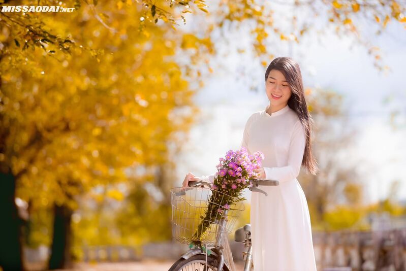 328237233 9485197744830969 4777679953446205281 n 328237233 9485197744830969 4777679953446205281 n