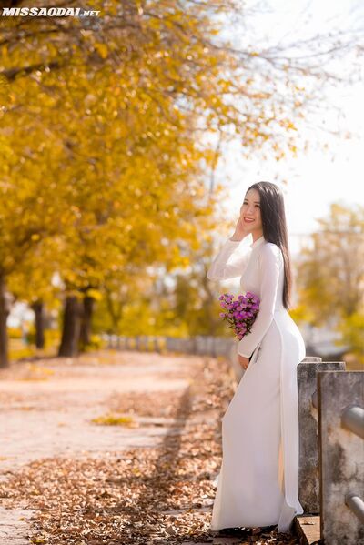 328245112 1513456452475797 2948222368480542629 n 328245112 1513456452475797 2948222368480542629 n