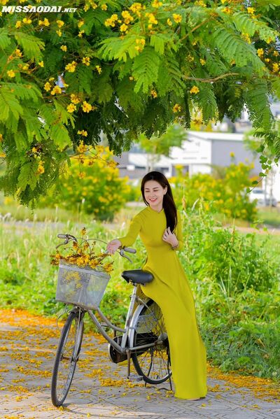 327866212 706854611144907 4720402299839331366 n 327866212 706854611144907 4720402299839331366 n