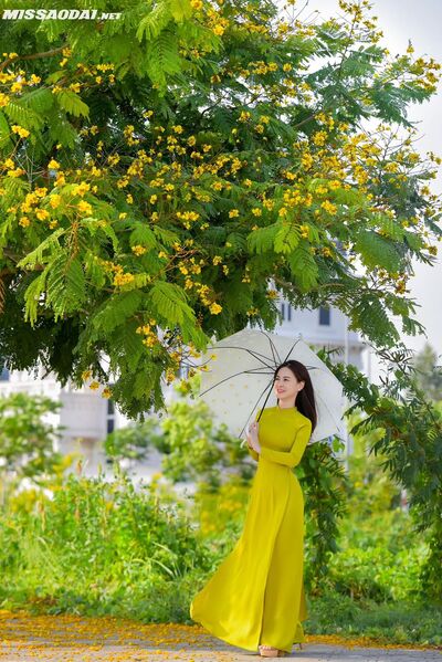 328104981 3493294920904725 4854547141784728876 n 328104981 3493294920904725 4854547141784728876 n