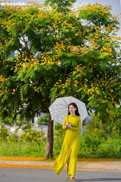 327749529 1312910762887258 3428367770644329640 n 327749529 1312910762887258 3428367770644329640 n