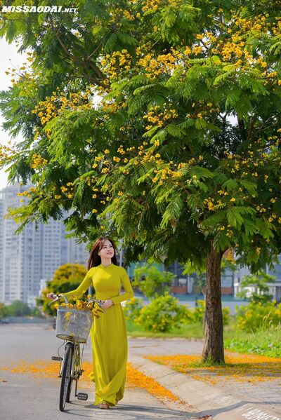 327185482 570764864677463 2667952030209096151 n 327185482 570764864677463 2667952030209096151 n