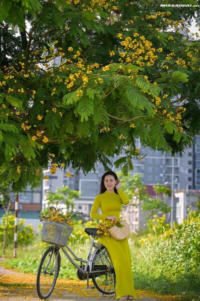 328274587 704009221373943 4679128437567977604 n 328274587 704009221373943 4679128437567977604 n