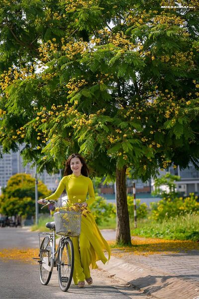 327883772 1262406261289892 193060932418463769 n 327883772 1262406261289892 193060932418463769 n