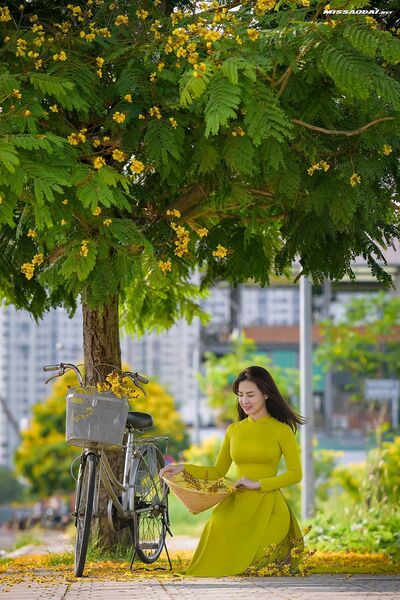 327355297 555953089902265 2773956244579308202 n 327355297 555953089902265 2773956244579308202 n