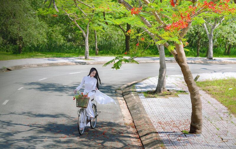 324427569 1282287809169287 377077373406012570 n 324427569 1282287809169287 377077373406012570 n