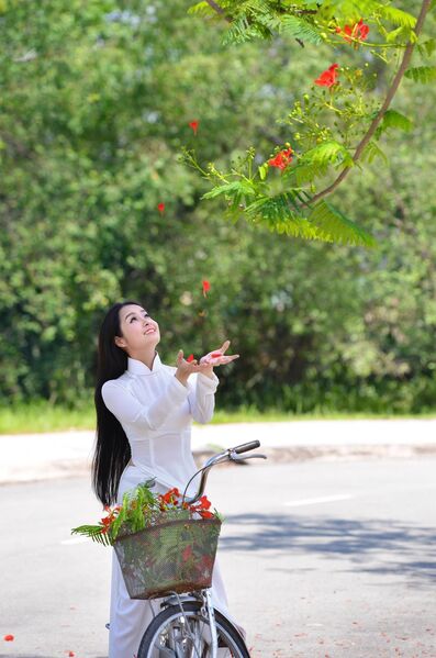 325693733 1300707540490958 3583681794661492639 n 325693733 1300707540490958 3583681794661492639 n