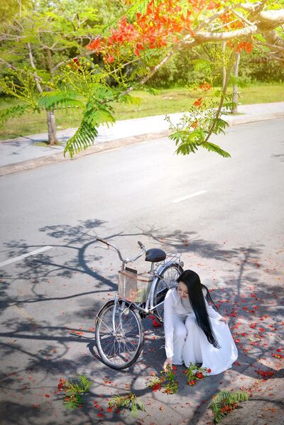 324510210 712524443648203 336055396804952987 n 324510210 712524443648203 336055396804952987 n