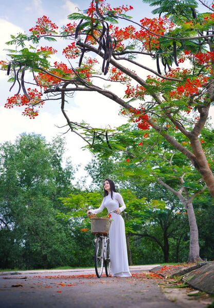 324513914 899914434788141 676867909508782147 n 324513914 899914434788141 676867909508782147 n