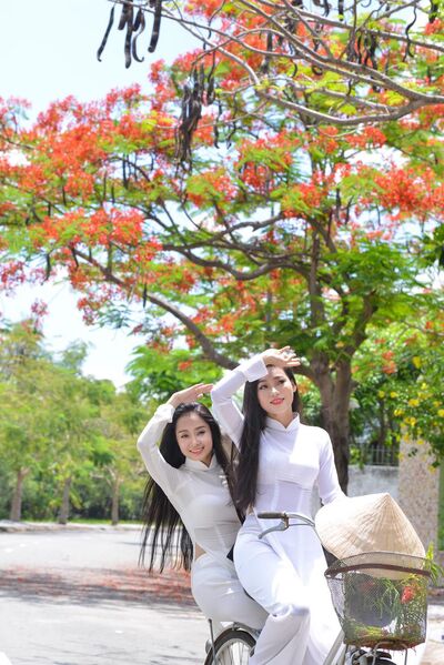 325778803 1128143591206312 3740135228741397691 n 325778803 1128143591206312 3740135228741397691 n