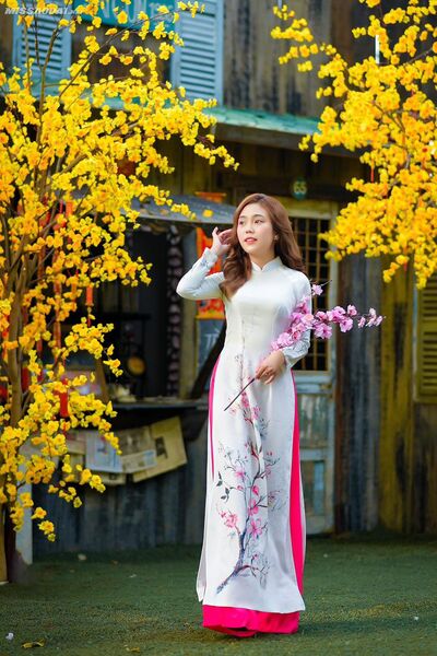 323287016 5842473839174018 51240150946422331 n 323287016 5842473839174018 51240150946422331 n