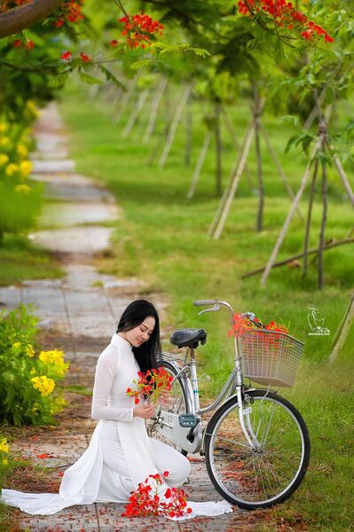 316240689 2239120399609534 5956902908314886404 n 316240689 2239120399609534 5956902908314886404 n