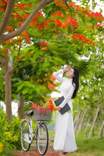 316829179 2239120422942865 6280187198674270376 n 316829179 2239120422942865 6280187198674270376 n