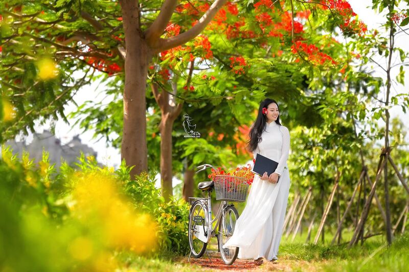 316175422 2239120456276195 4485288825970014955 n 316175422 2239120456276195 4485288825970014955 n