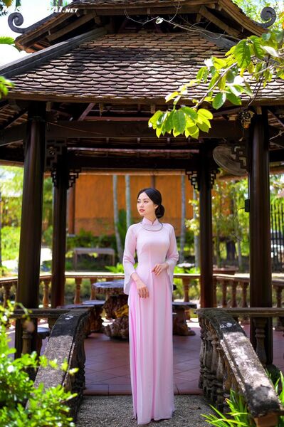 316542781 2239118726276368 2113495389988193261 n 316542781 2239118726276368 2113495389988193261 n