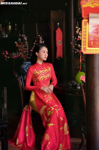 316126768 2239116759609898 9195702841337039768 n 316126768 2239116759609898 9195702841337039768 n