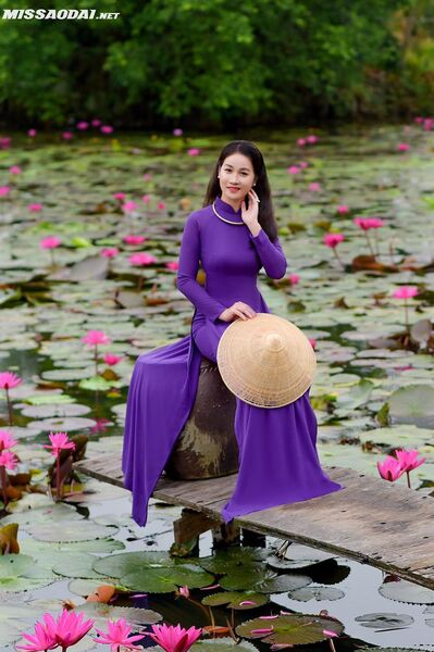 315315942 2229404243914483 3296792298922077496 n 315315942 2229404243914483 3296792298922077496 n