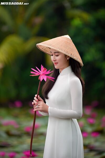 315209375 2229404087247832 586423845127538025 n 315209375 2229404087247832 586423845127538025 n