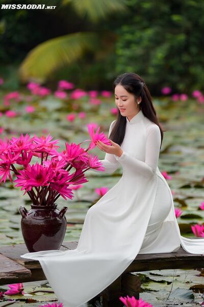 311172799 2229404077247833 5051420105498315310 n 311172799 2229404077247833 5051420105498315310 n