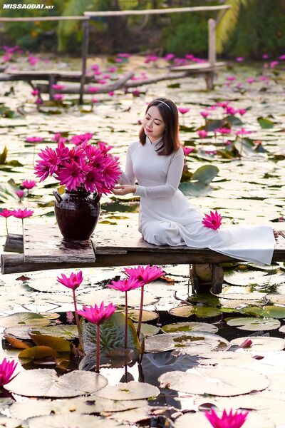 313426605 2222268934628014 5994845798586377318 n 313426605 2222268934628014 5994845798586377318 n