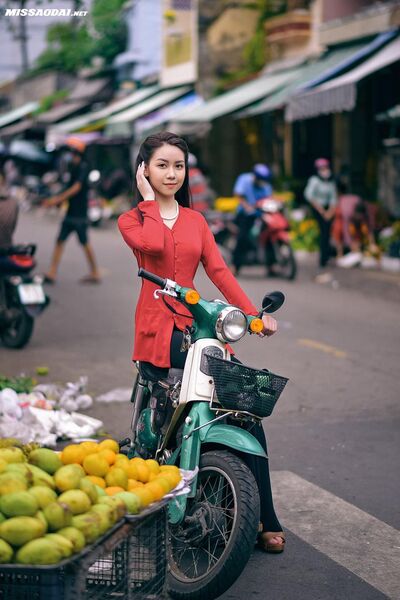 313204647 2213879048800336 1875498794021102539 n 313204647 2213879048800336 1875498794021102539 n