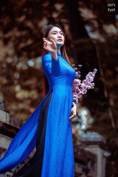 336769703 1276549406629964 357409286862611200 n 336769703 1276549406629964 357409286862611200 n