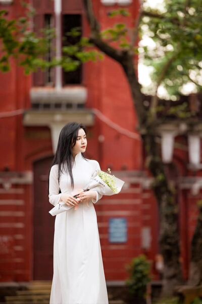 338715007 944340817017932 567316959596430449 n 338715007 944340817017932 567316959596430449 n