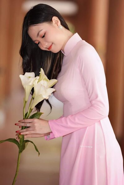 339461346 187847130694643 3993118453620038930 n 339461346 187847130694643 3993118453620038930 n