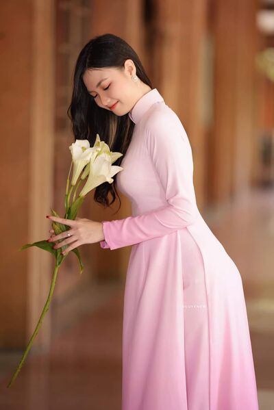 339292415 3346900068888113 5937607973976718261 n 339292415 3346900068888113 5937607973976718261 n