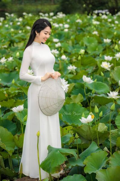 339602005 1537622837073587 3676932503888501330 n 339602005 1537622837073587 3676932503888501330 n