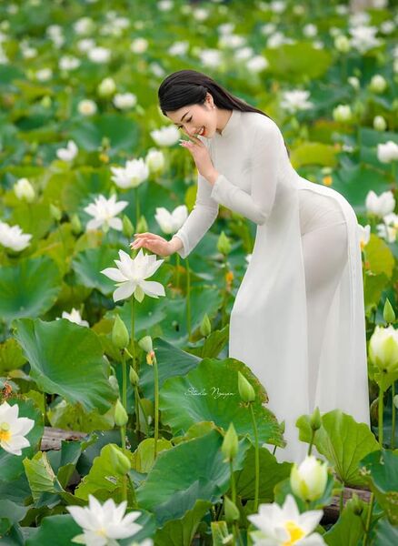 339326041 441123721550500 5821498540699503029 n 339326041 441123721550500 5821498540699503029 n