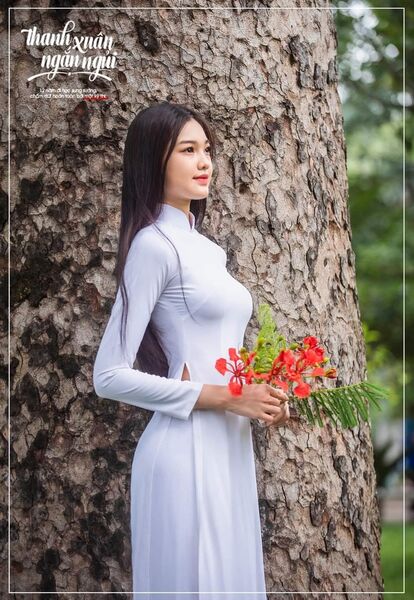 339808008 5532436830191036 6923457228511694953 n 339808008 5532436830191036 6923457228511694953 n