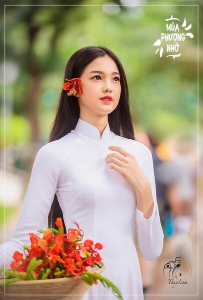 339617956 773980207329374 7756171363816003517 n 339617956 773980207329374 7756171363816003517 n