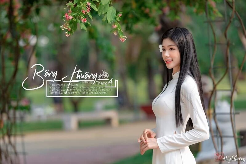 339134075 736865841237855 4252691840650589061 n 339134075 736865841237855 4252691840650589061 n