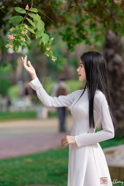 339089439 150068937716833 3194062917110073927 n 339089439 150068937716833 3194062917110073927 n