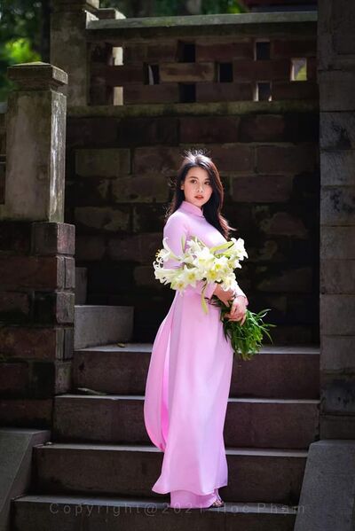 339965617 617576943549137 877798378219917258 n 339965617 617576943549137 877798378219917258 n