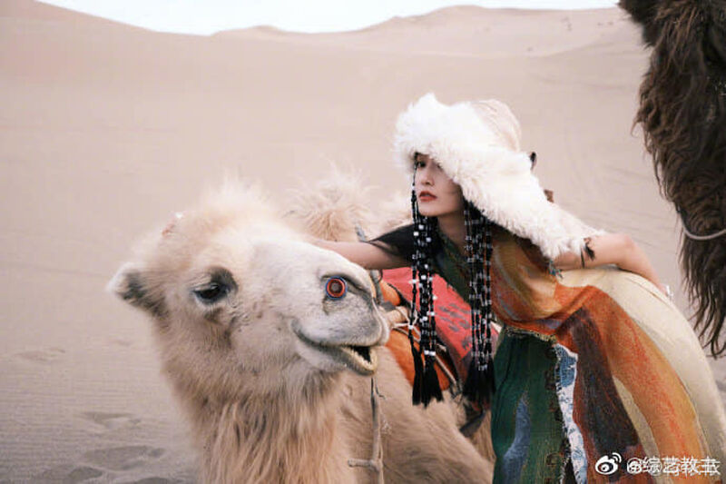 340158119 1429886384444785 1999455444253551075 n 340158119 1429886384444785 1999455444253551075 n