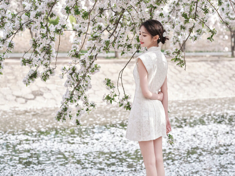 340137546 1078179130252107 5489813241617503676 n 340137546 1078179130252107 5489813241617503676 n