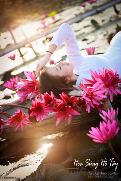 339669818 531059535876308 8907163170609068006 n 339669818 531059535876308 8907163170609068006 n