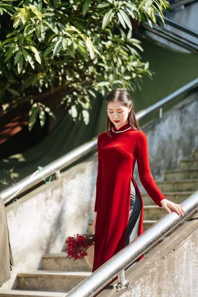 336270136 1145679269437711 7909310313551946277 n 336270136 1145679269437711 7909310313551946277 n