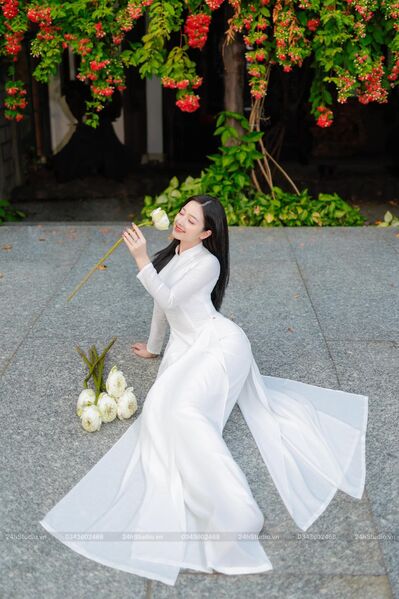 339327501 232443349303989 3202841670385818164 n 339327501 232443349303989 3202841670385818164 n