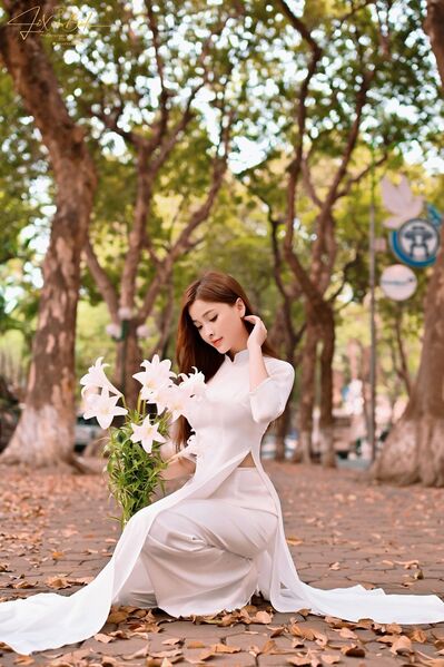 339109420 110588938666505 2847460952999163415 n 339109420 110588938666505 2847460952999163415 n